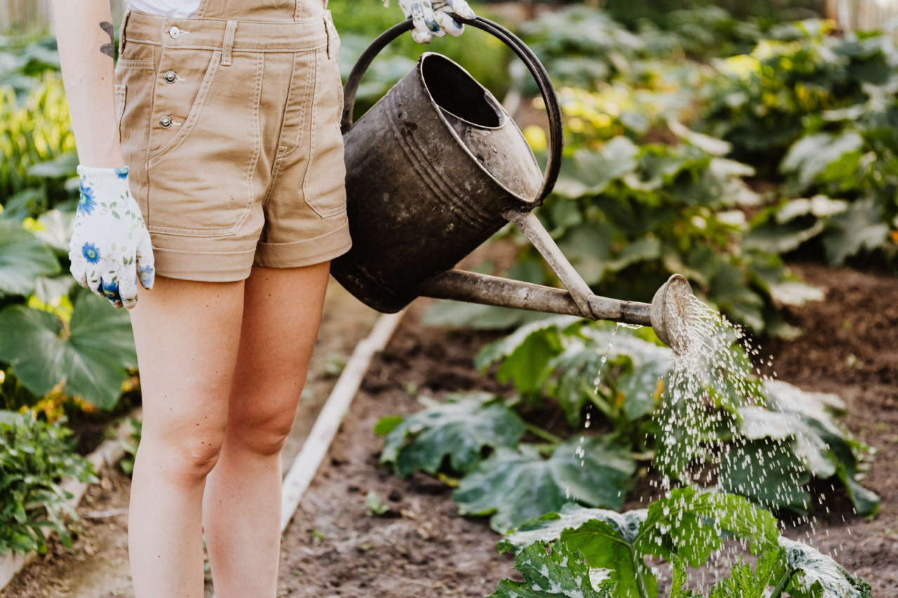 How green vegetables can protect your brain from dementia