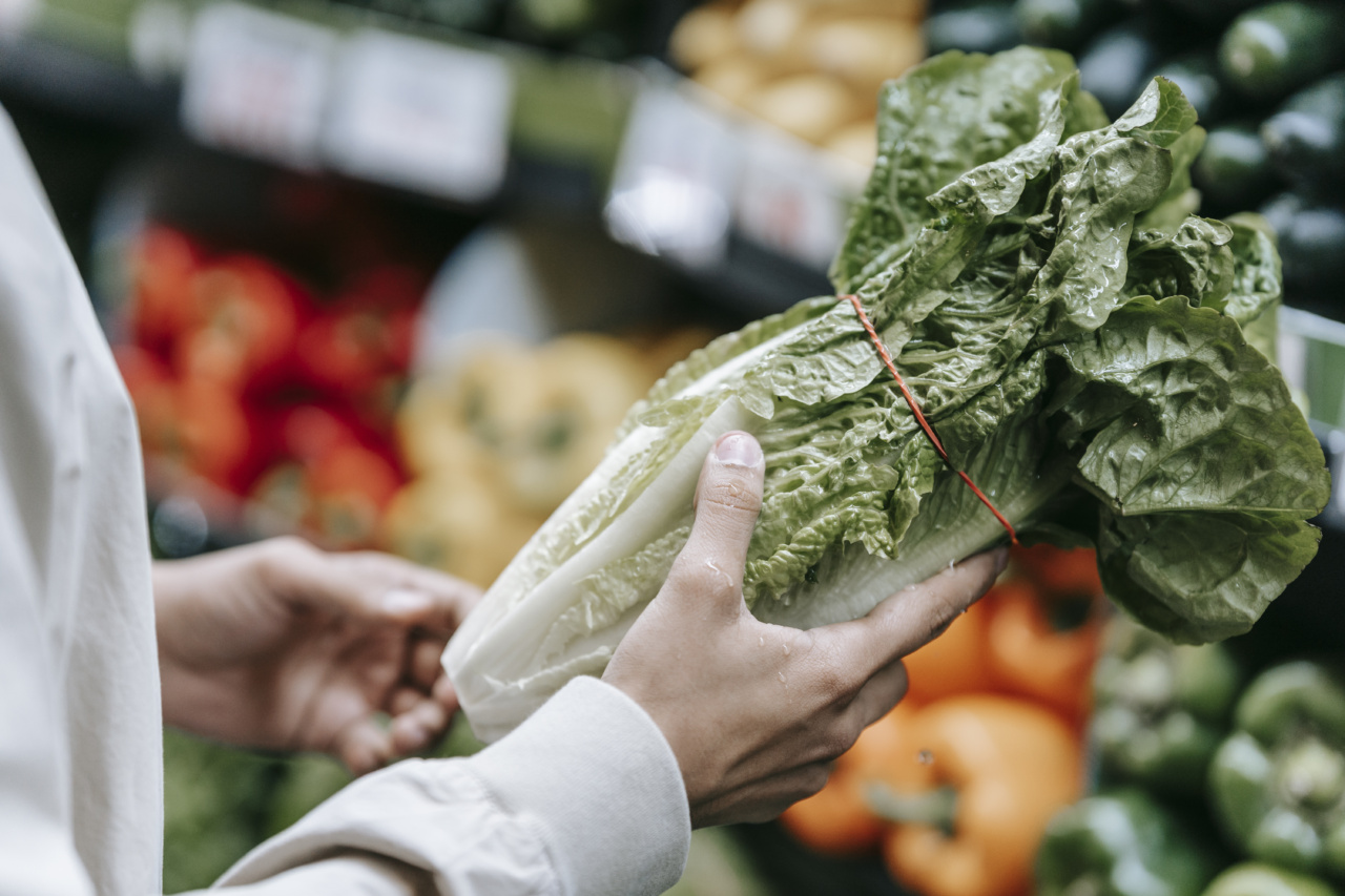 Is raw food really the best option for your dog?