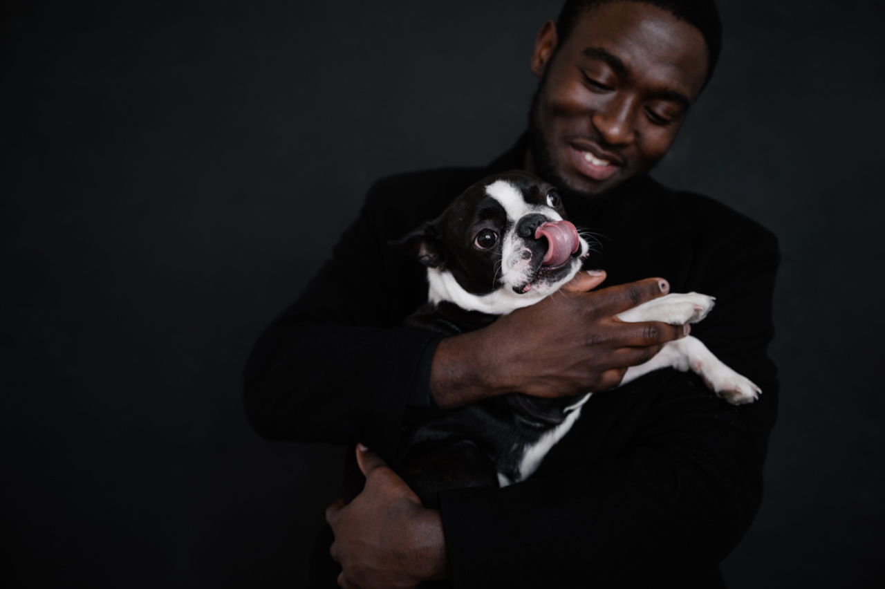 What Your Dog’s Nose Says About His Well-Being