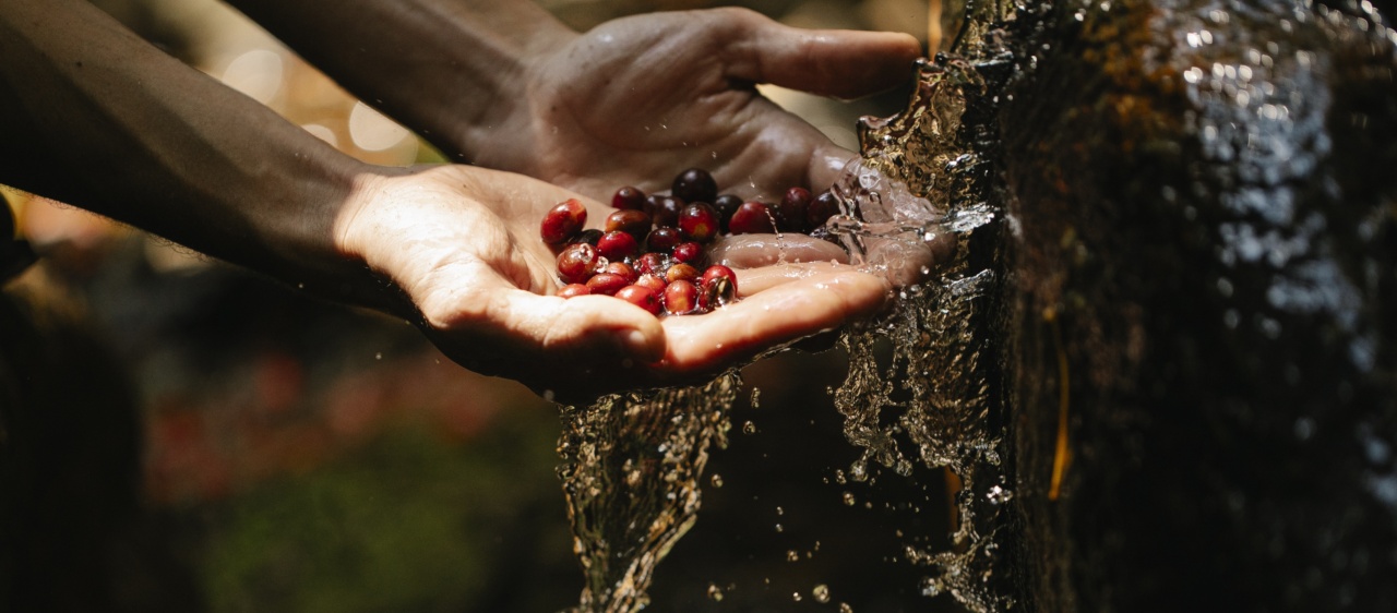 Why is it important to wash your hands with cool water?