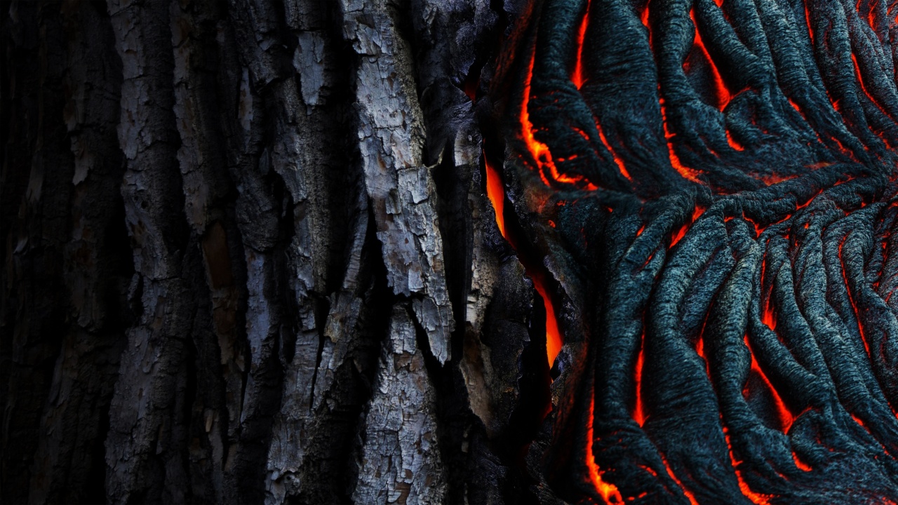 Newly discovered cancer inhibitor located in bark of tree