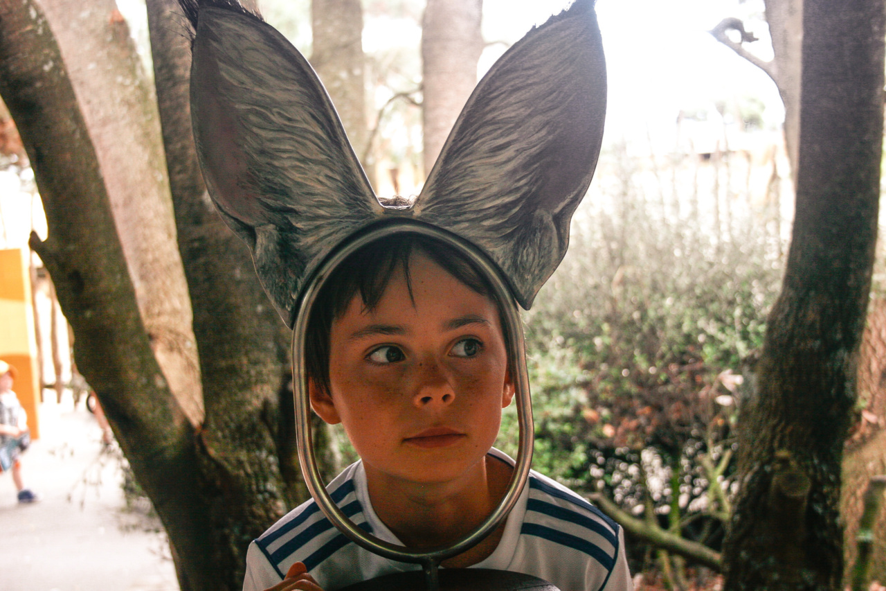 Keep Your Child’s Ears Healthy: Tips to Avoid Otitis