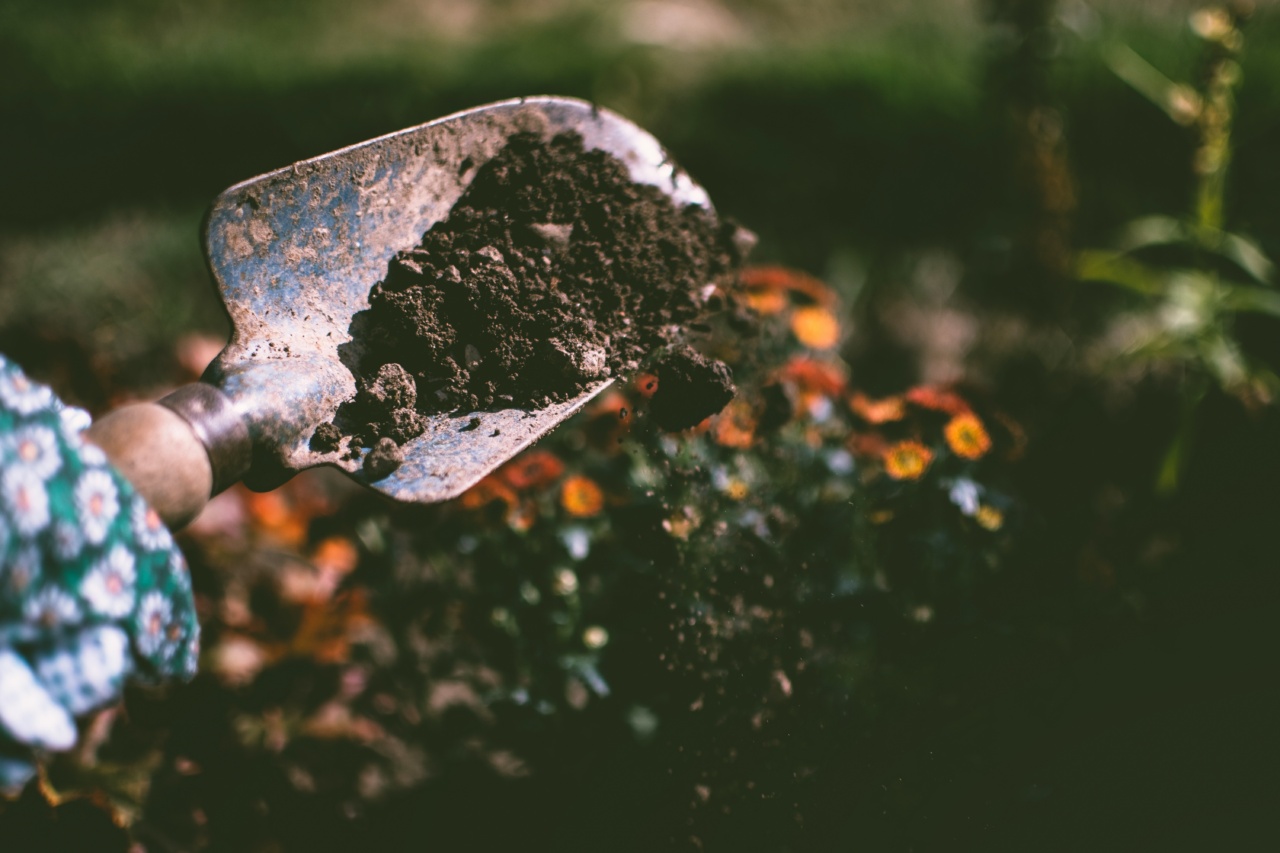 Dirt and Regret