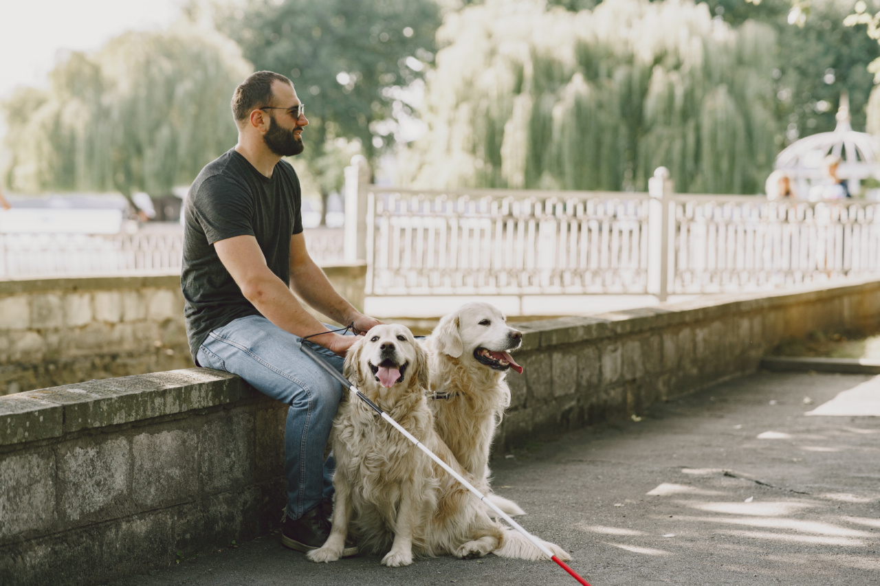 Training Guide Dogs for Blind Owners