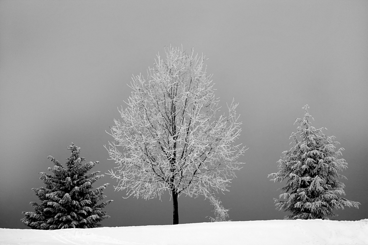 The Science of Winter Sickness: Discovering the Three Key Risks
