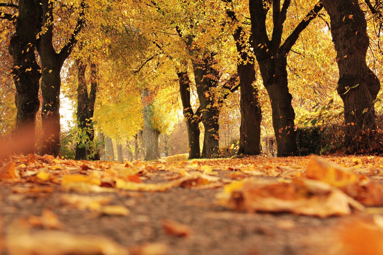 Don’t Fall Apart! 16 Mood-Enhancing Strategies