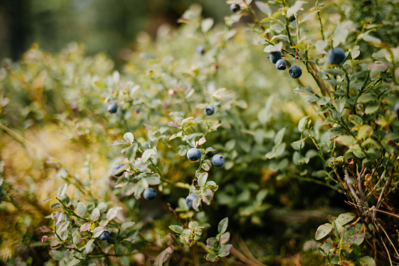 Boost your immunity with tiny food changes