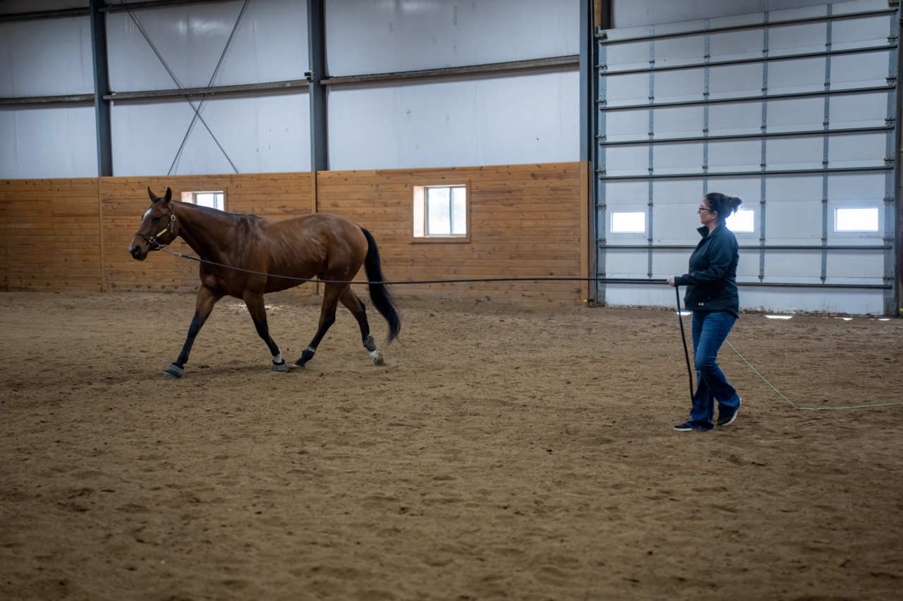 Psychiatric Reform: A Must-Have for Stable Conditions