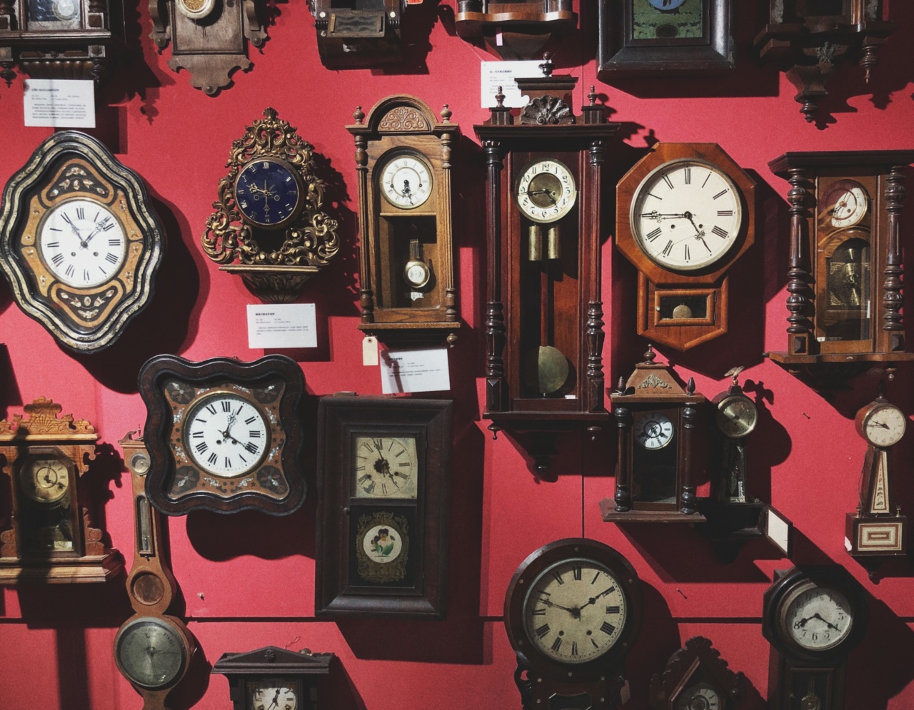 Chrono-cough: The Meanings Behind Five Different Time Species