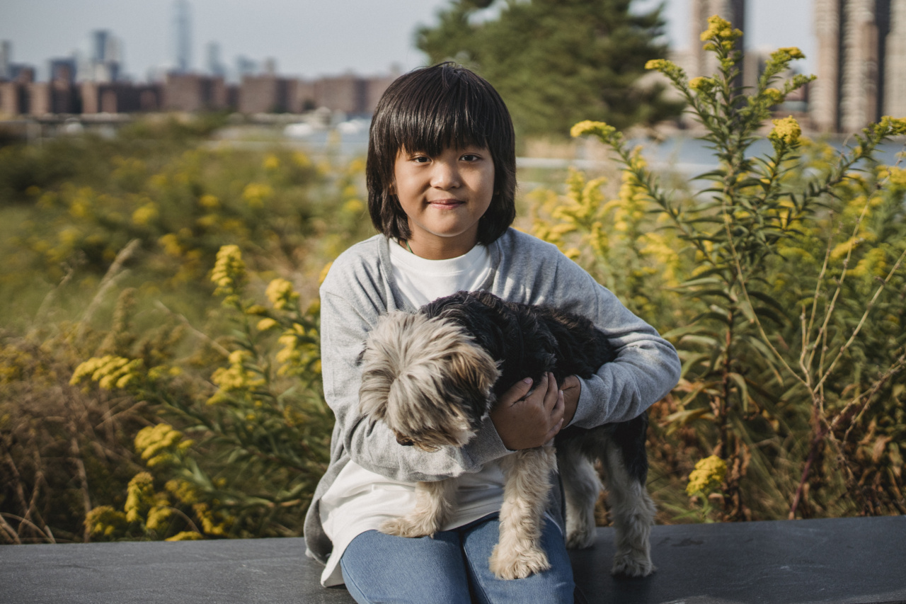 When to Avoid Giving Your Dog a Haircut