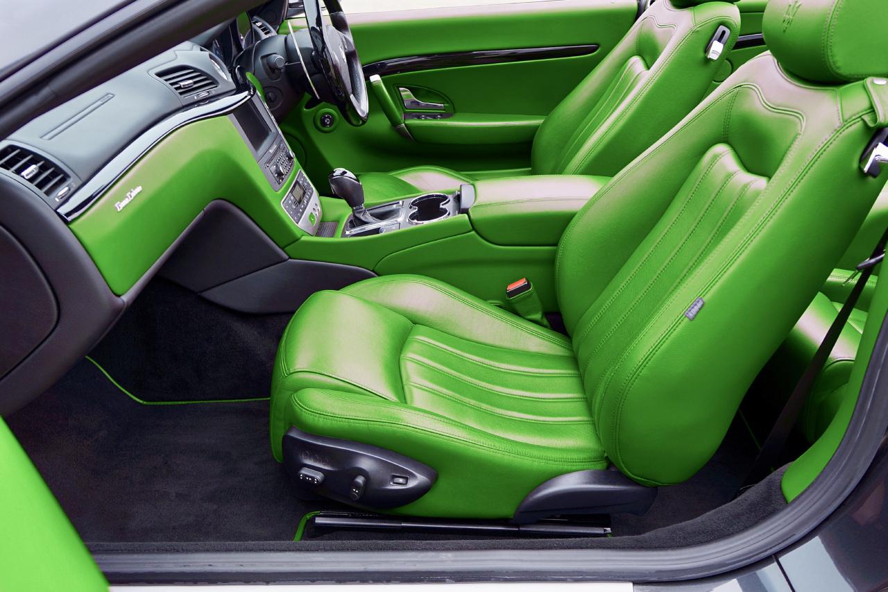 Agana: The Unexpected Hazard of Green Car Seats for Canines