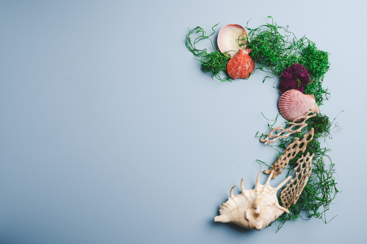 Effective flu-fighting herb