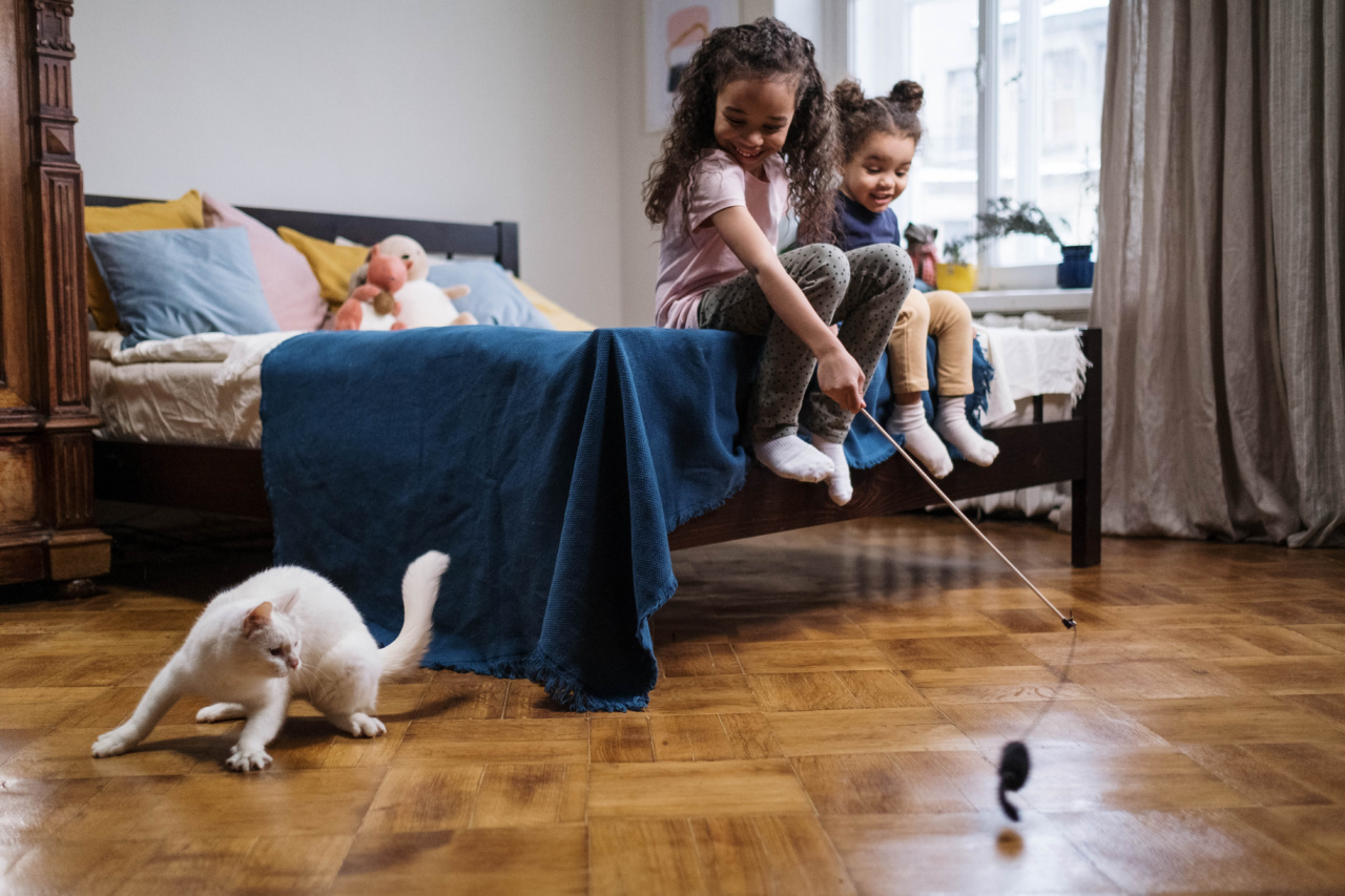 Mentors in the bedroom: How older sisters can instruct their younger siblings about sex