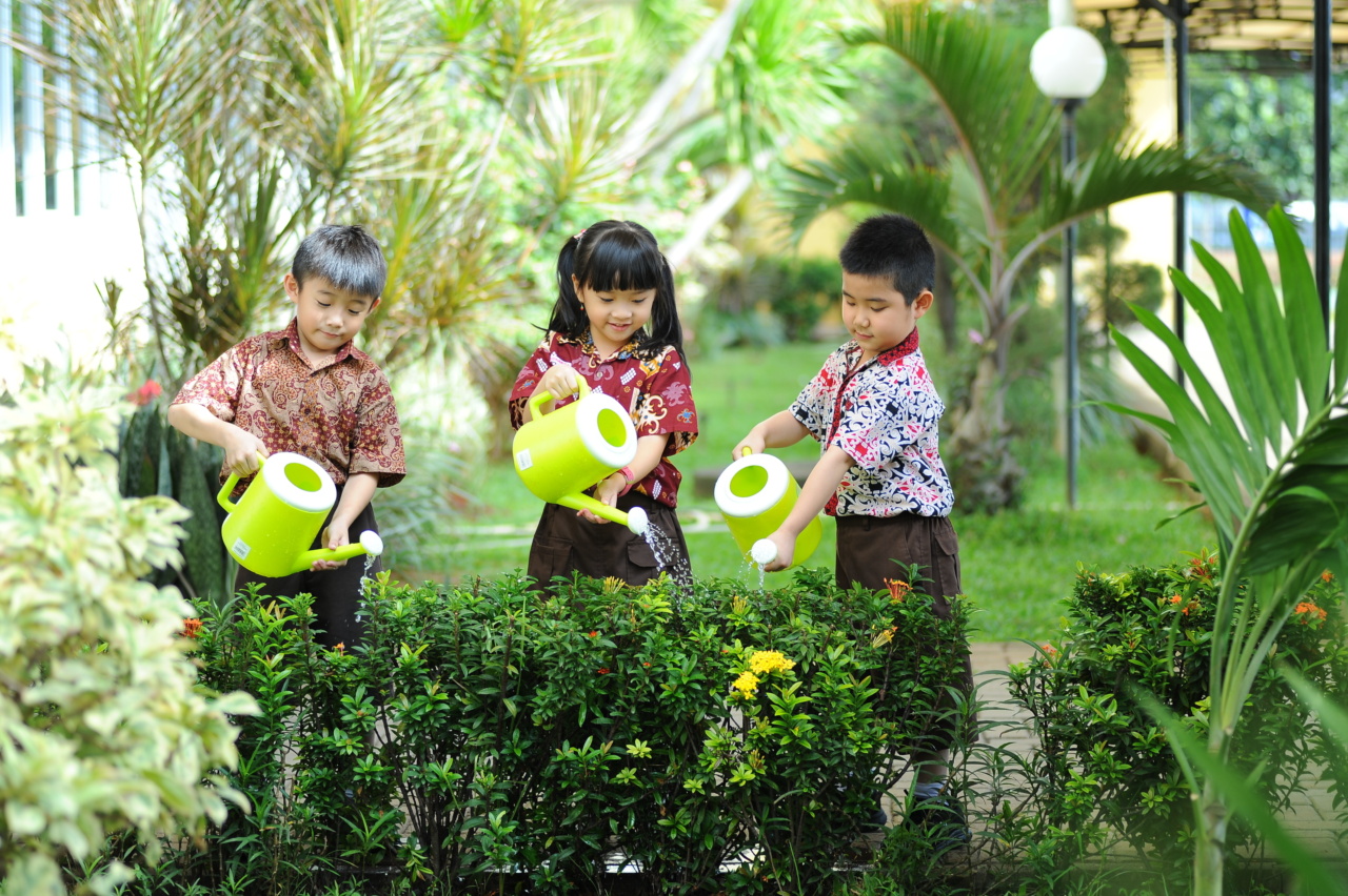 Overcoming Challenges in Your Child’s Growth