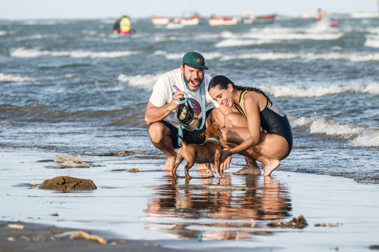 A dog beat all odds and swam 217 kilometers in open waters
