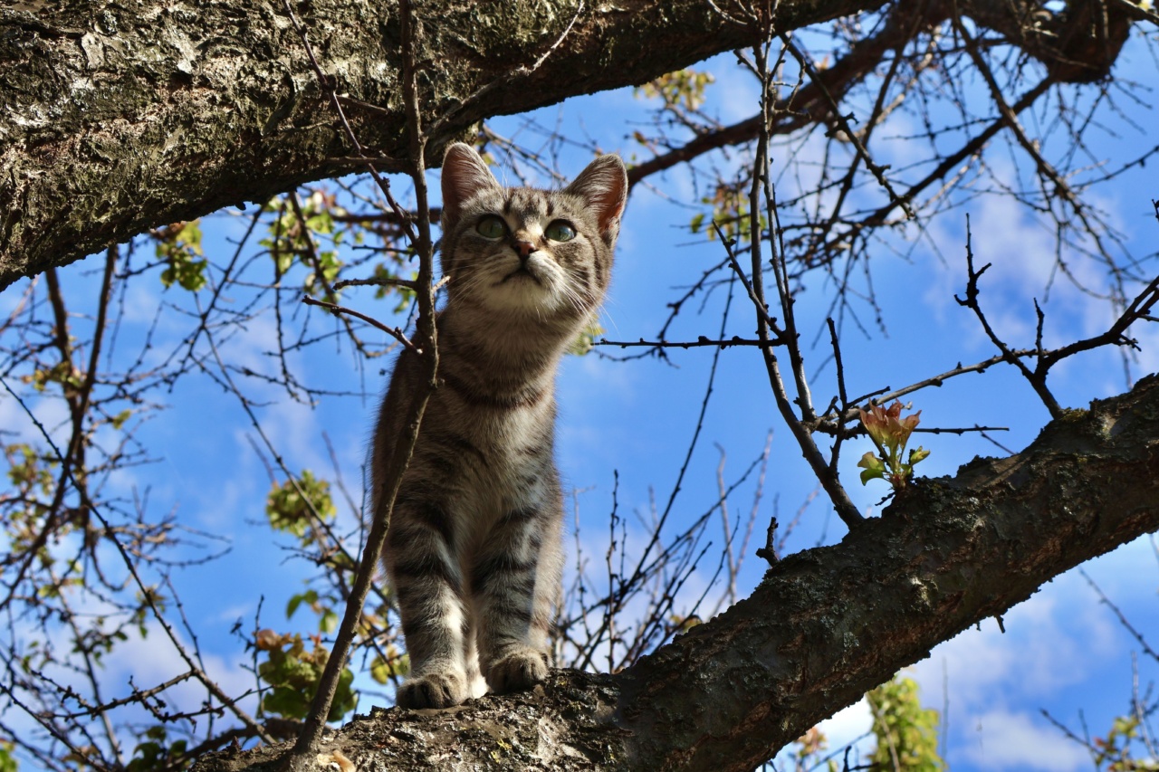 Driven by Our Curiosity