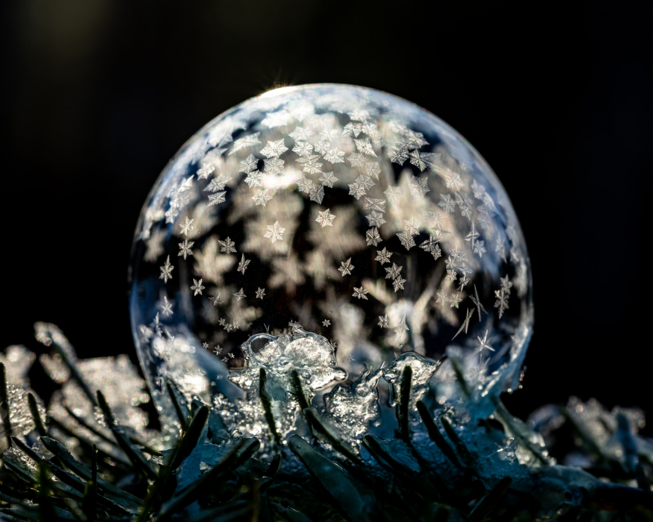 Maintaining moisture in winter