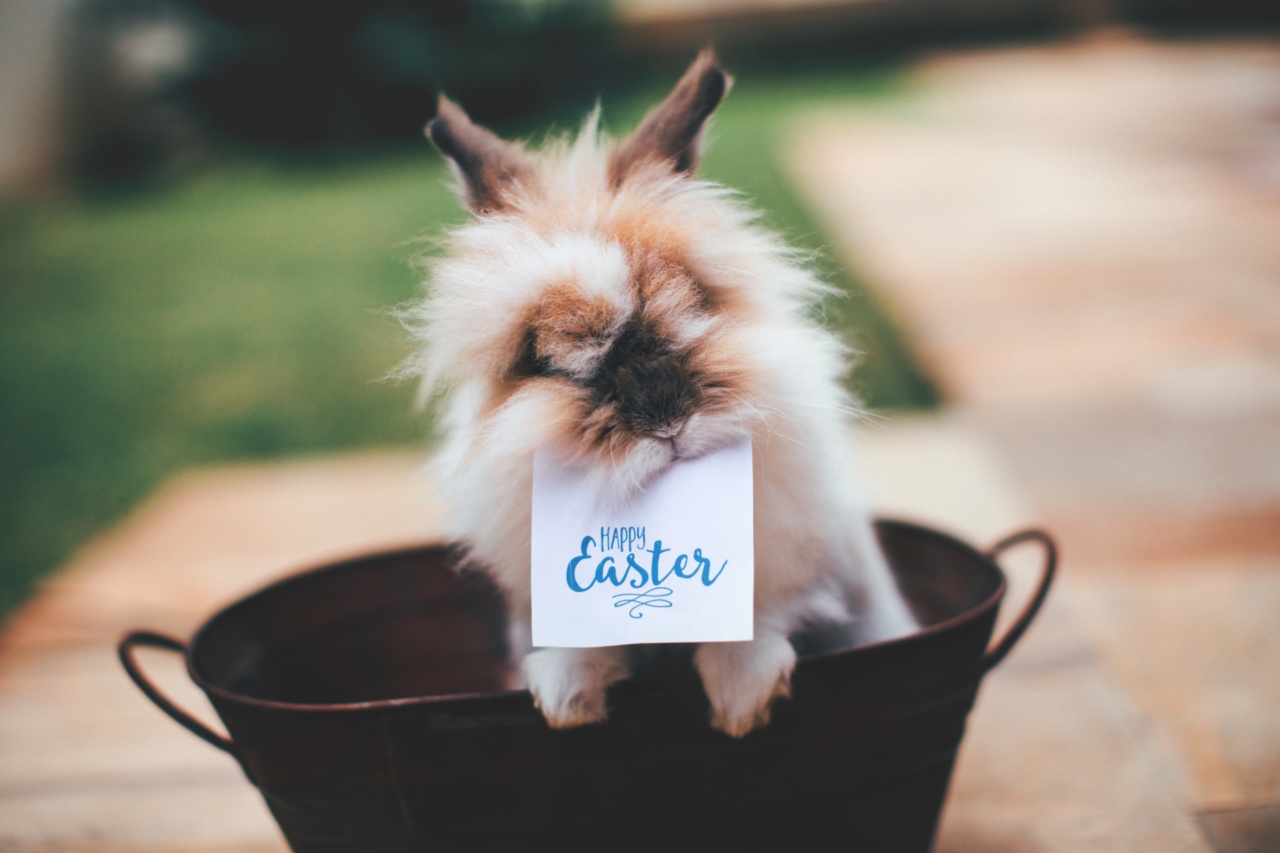 Easter Buns with Crunch and Fluffiness by George Gerardo