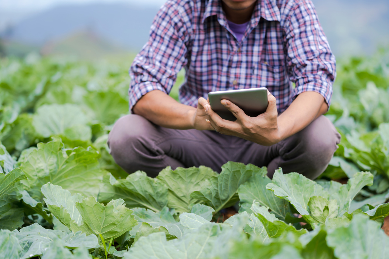 Control Prostate Hyperplasia with this Vegetable