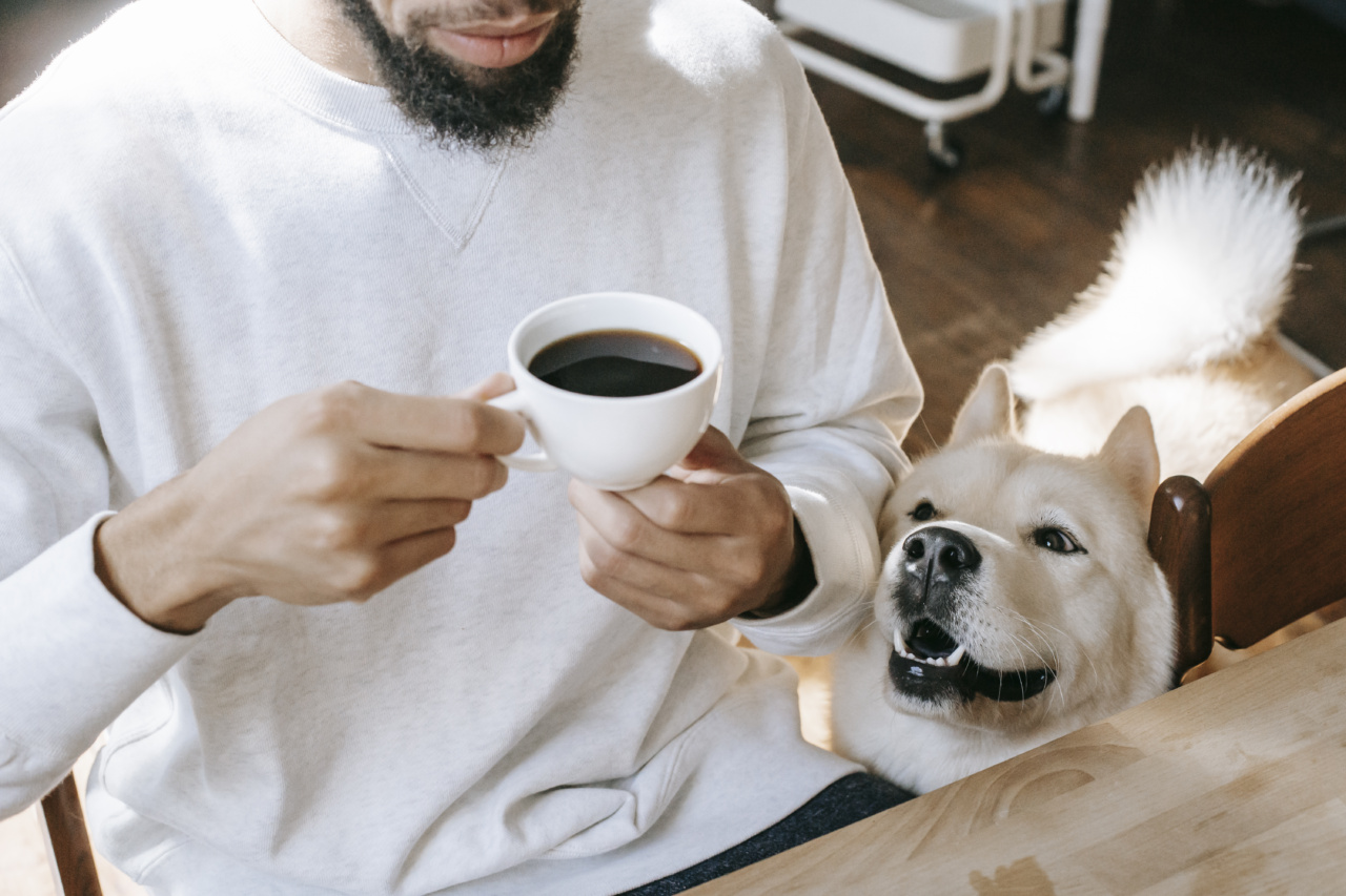 Wake up and smell the coffee: Why it’s best in the morning