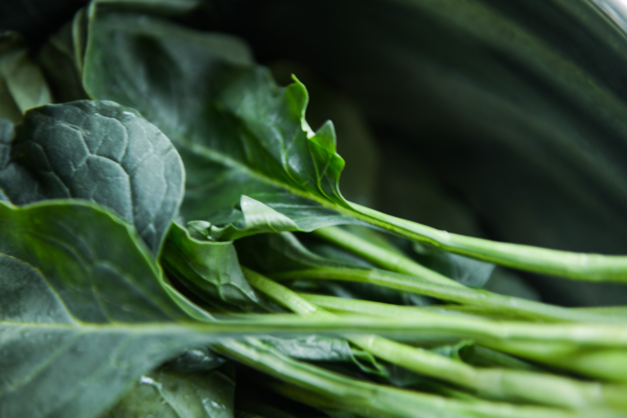 Raw Vegetables vs. Cooked: Making the Most of Your Healthy Choices