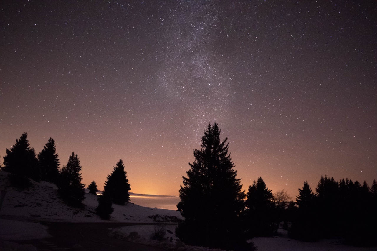 30 Ways to Defend Yourself Against “Christmas Tree Syndrome”