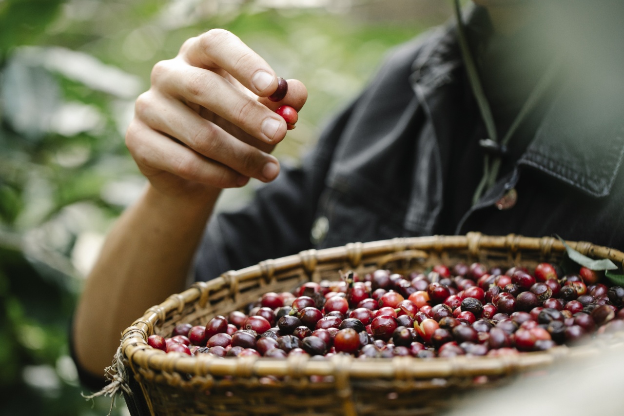 5 healthy coffee additions for a vitamin boost