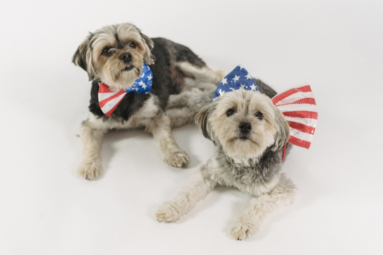 Celebrate World Animal Day with Heroes