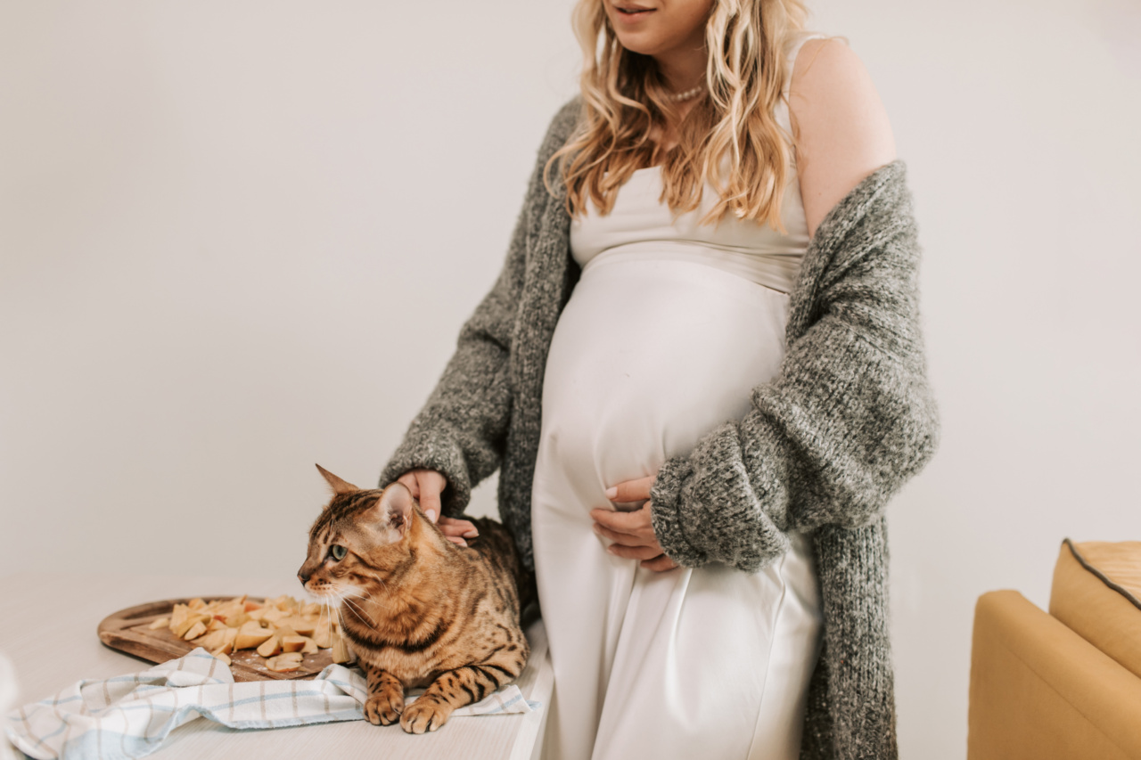 Pregnant women and cat ownership: What you need to know