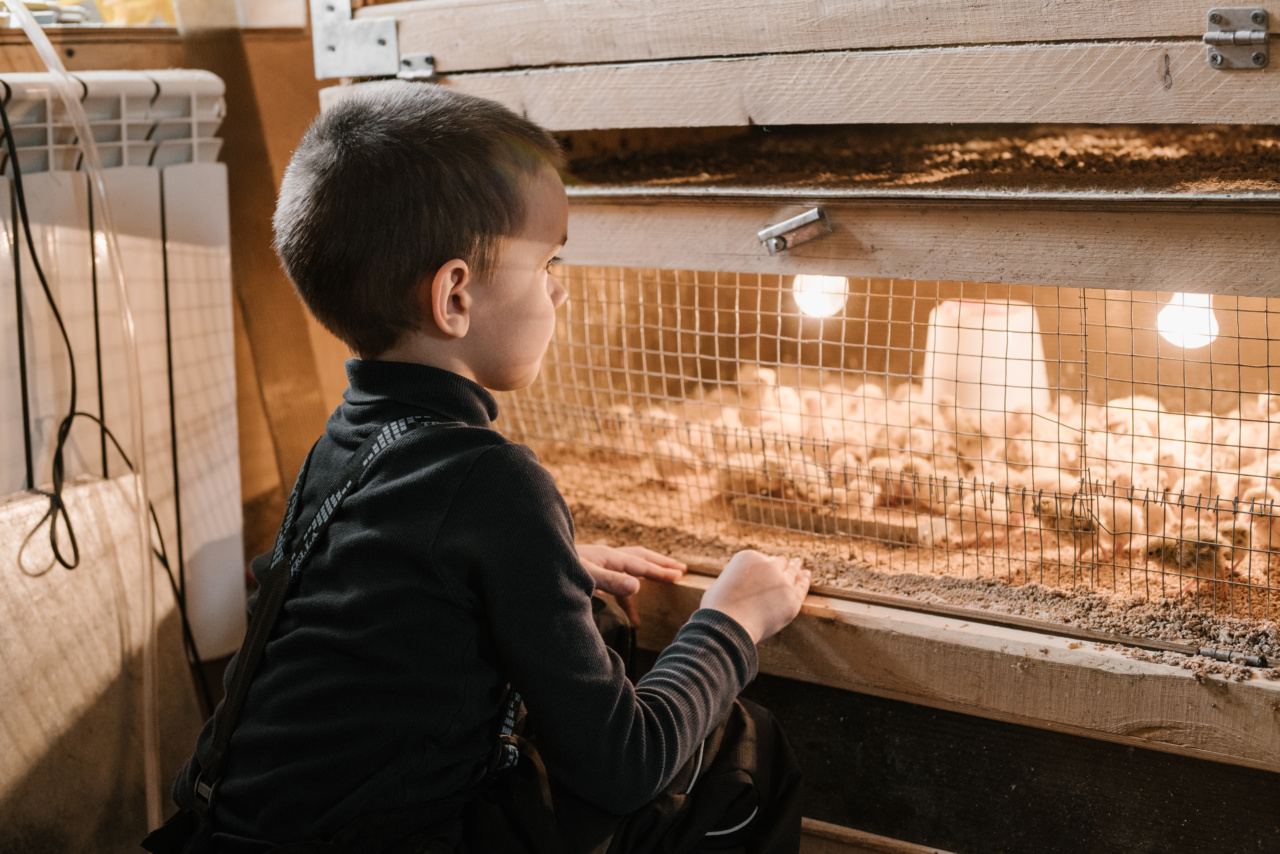The Right Foods to Feed Your Growing Child