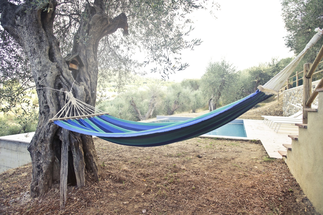 Surviving Post-Vacation Gloom: Tips for Dealing with Autumn Blues