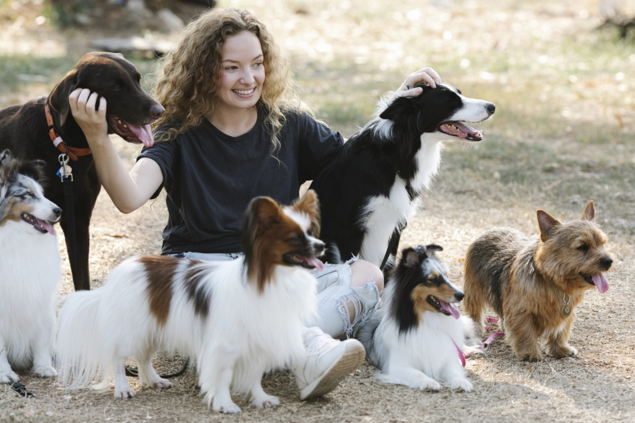 A deeper look into why dogs scratch the ground after peeing