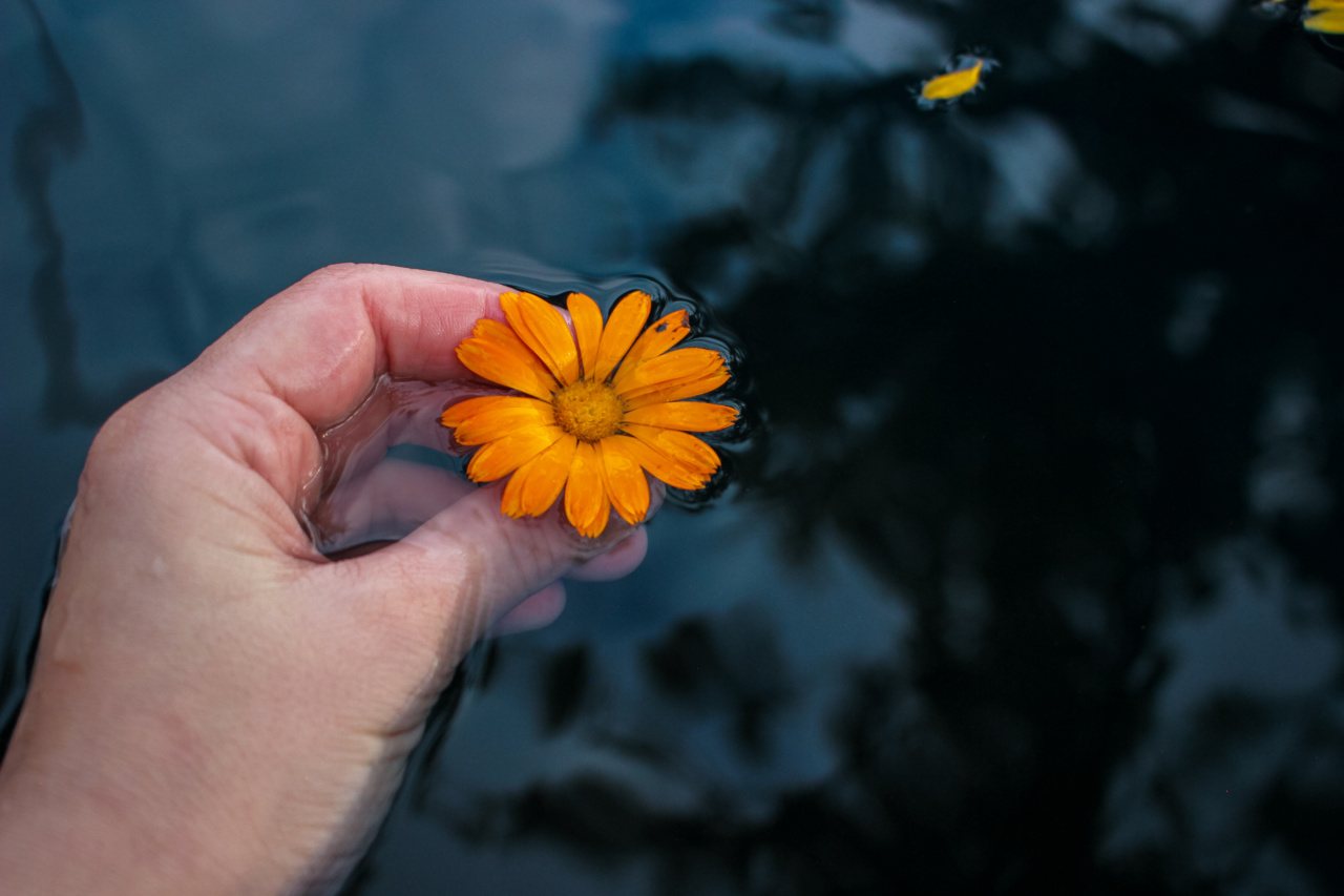 5 natural remedies to reduce liquid retention