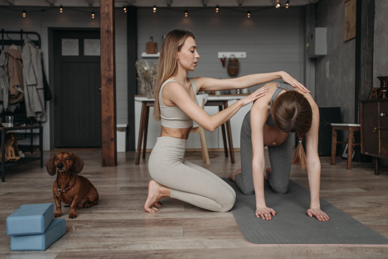 Pet Fitness: Bonding Through Exercise