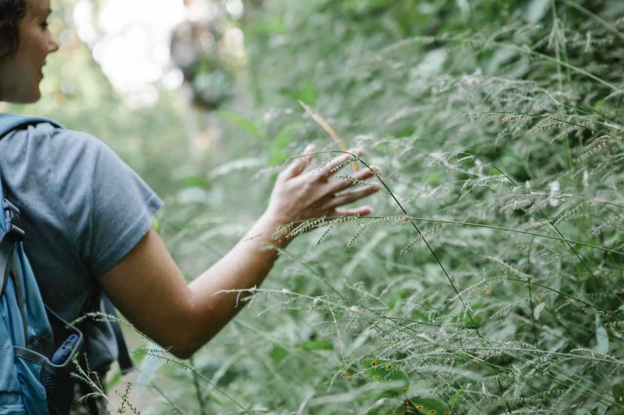 Female Erogenous Zones: Where to Touch Her to Drive Her Wild