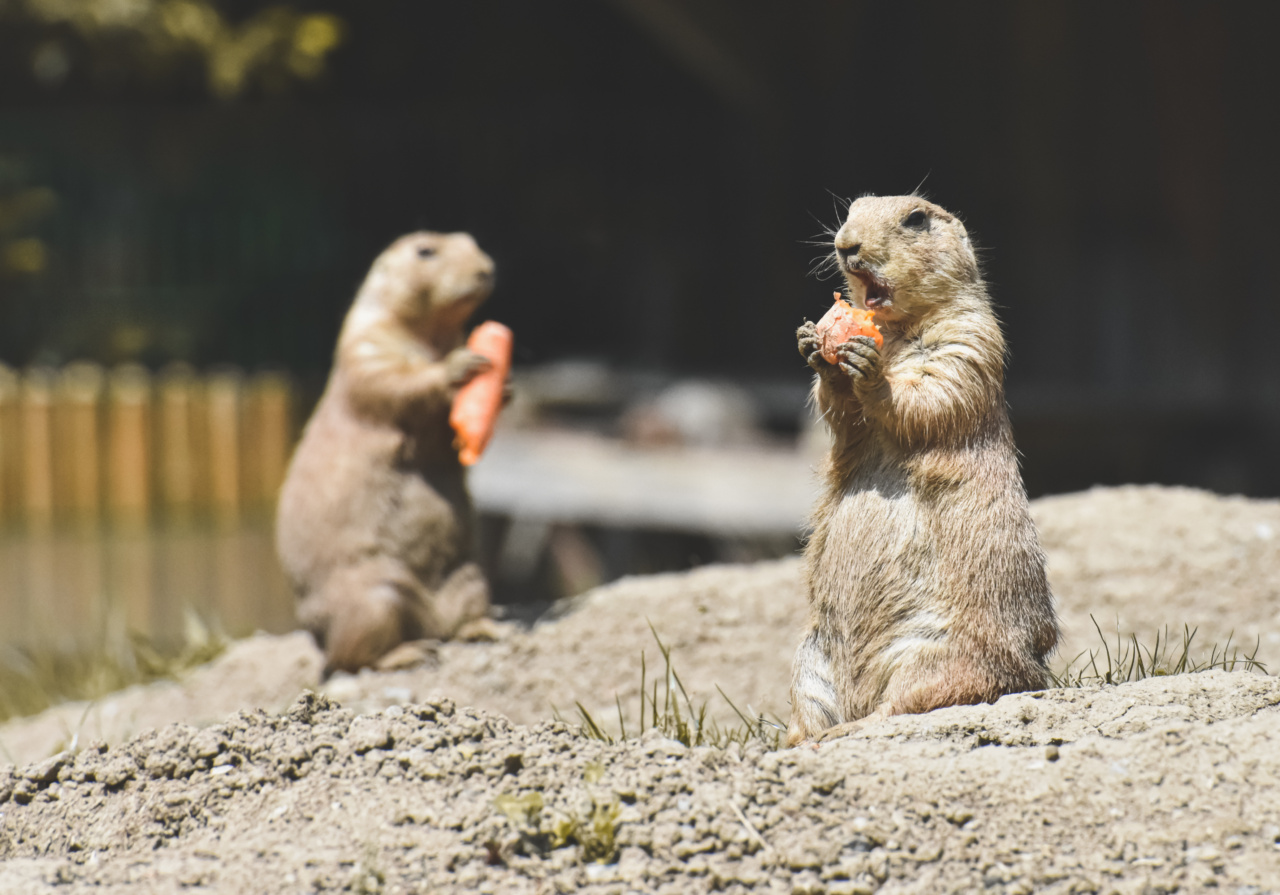 Diagnosing Your Eating Behavior