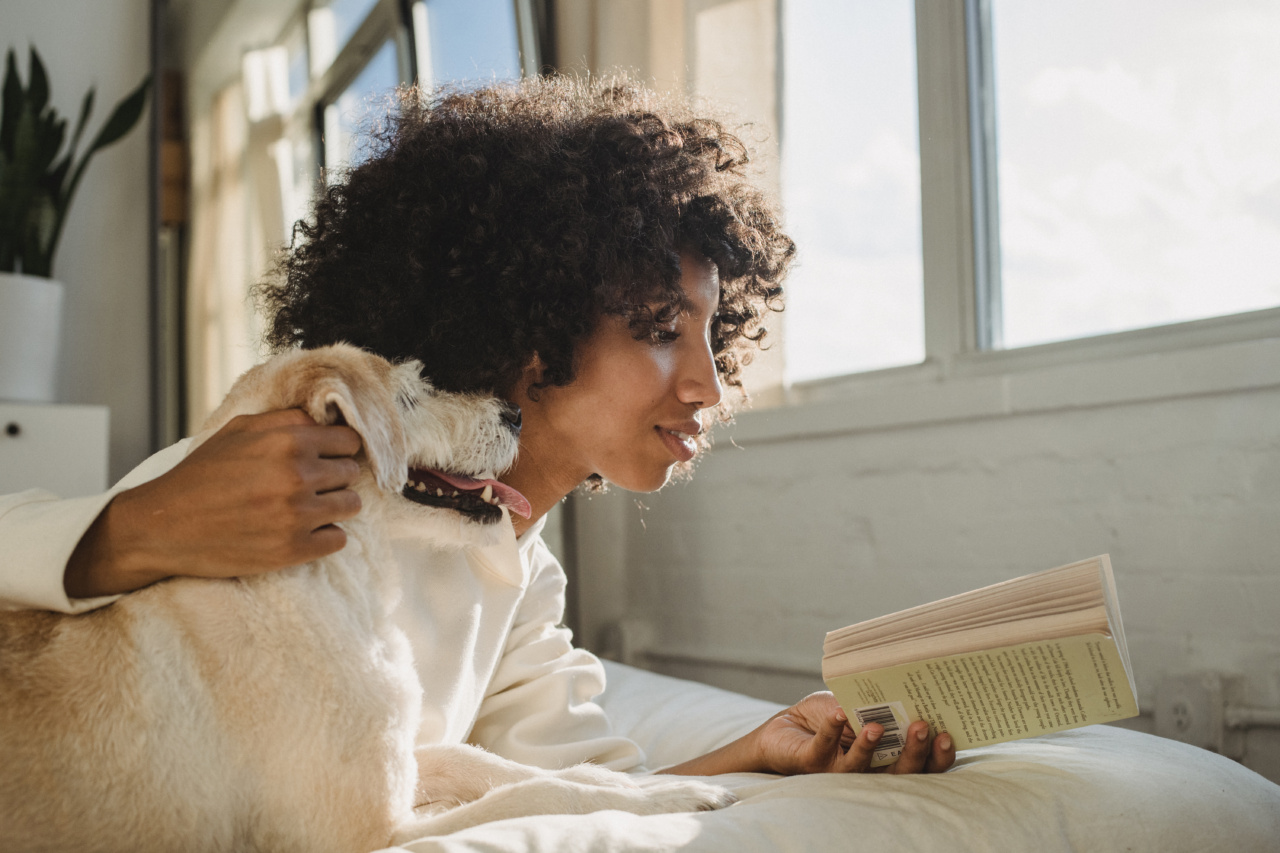 Find out when you should go to bed for the best rest!