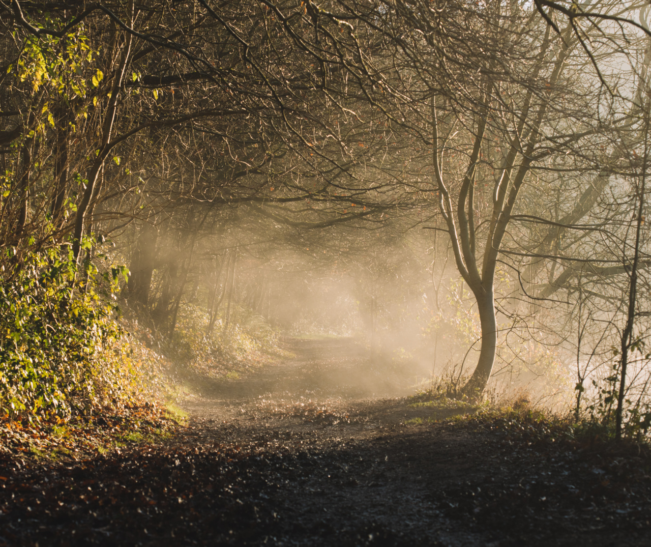 Breakthrough study reveals fresh perspective on mood disorders
