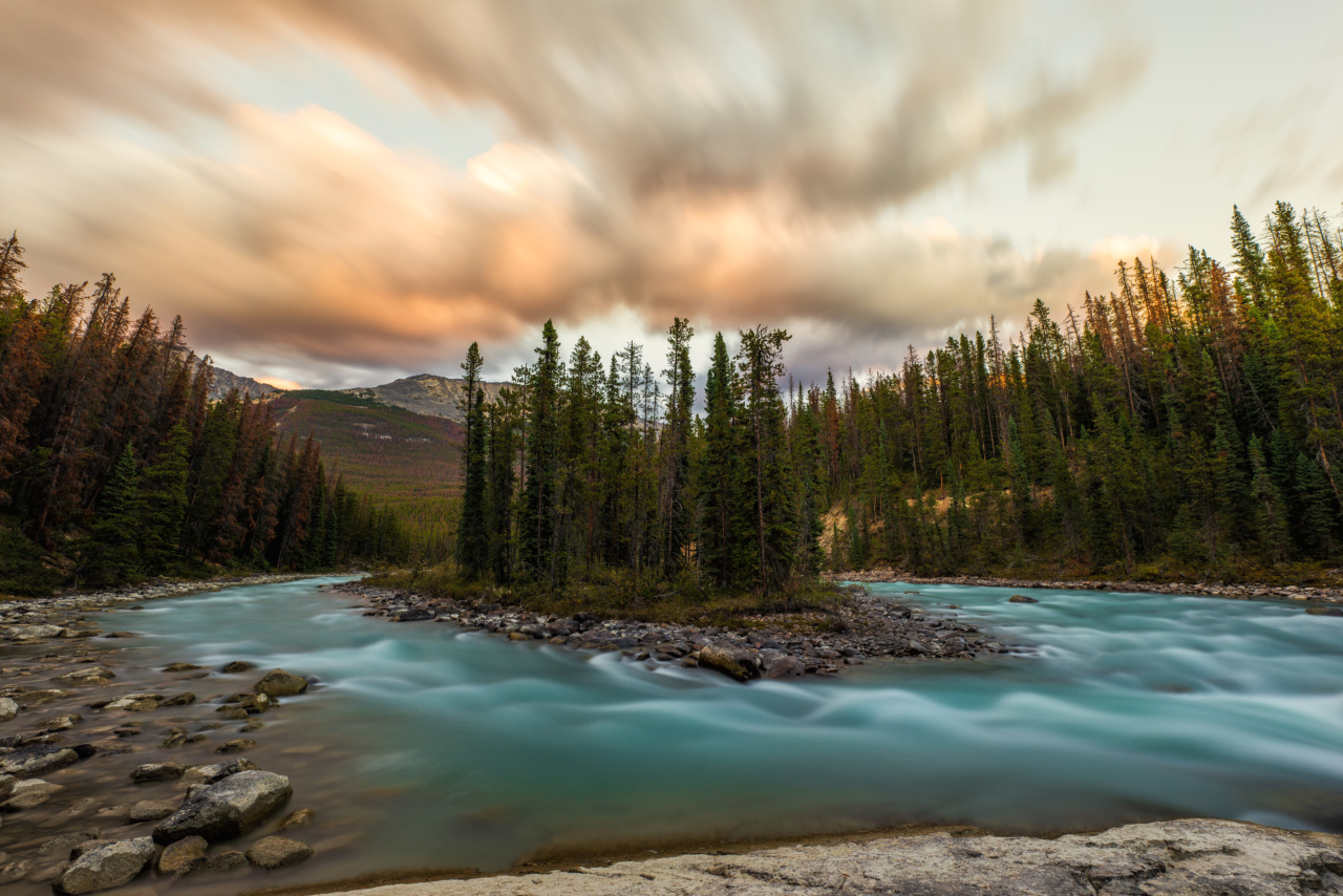 Why Being Surrounded by Nature is Good for Your Brain
