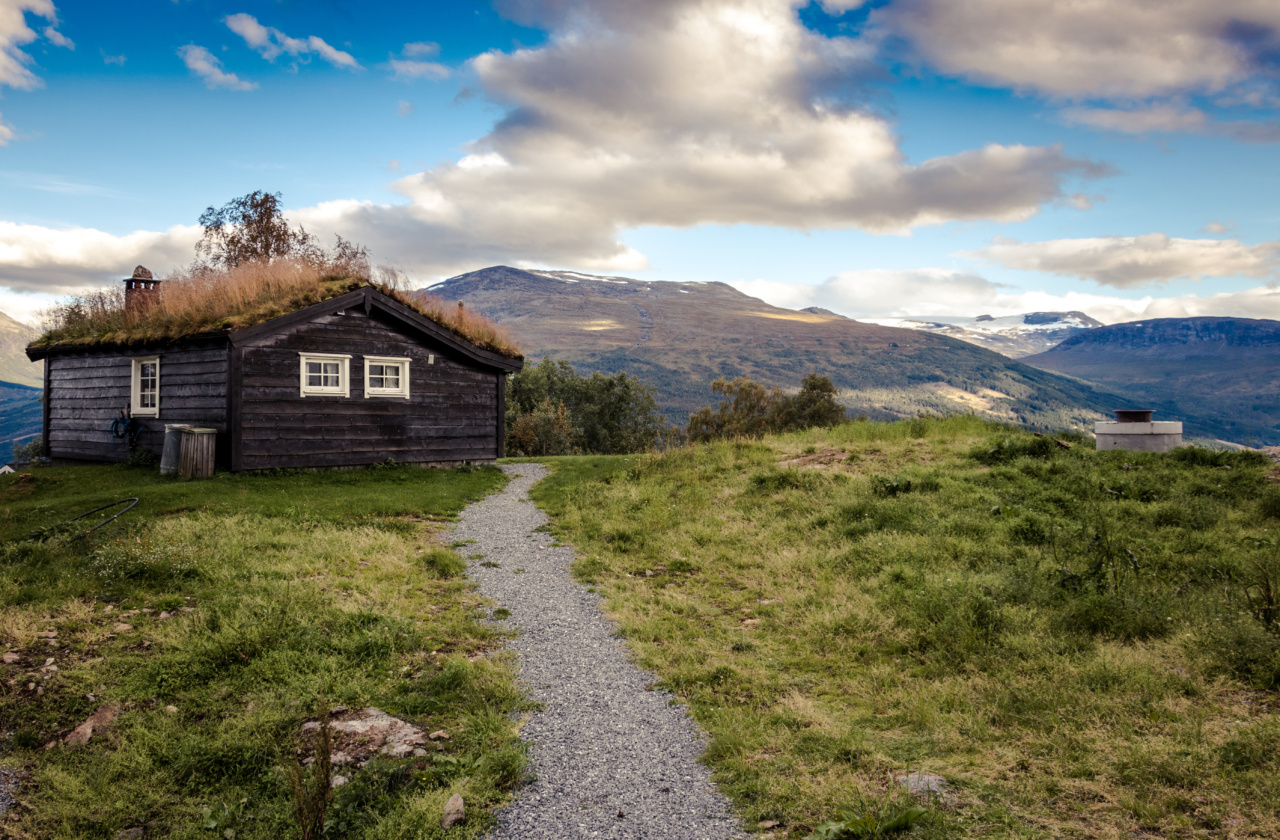 Dogs in Norway fall prey to ‘cryptic disease’