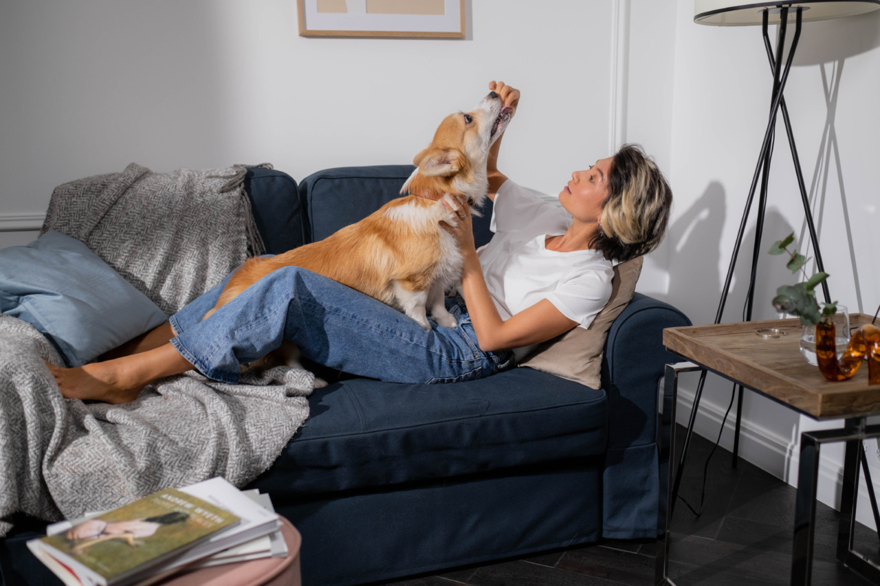 The Truth About Feeding Your Dog Bones