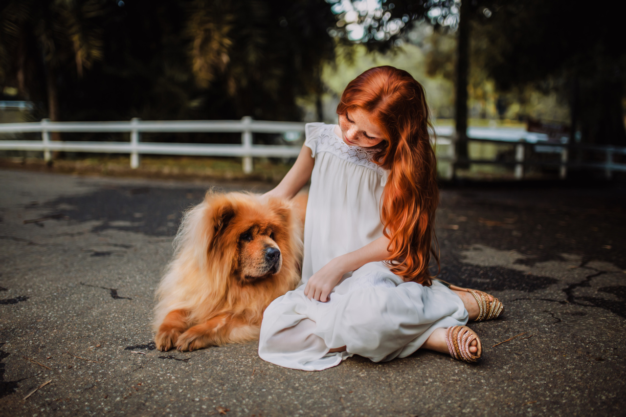 Dog and Kids: The Ultimate Friendship Guide