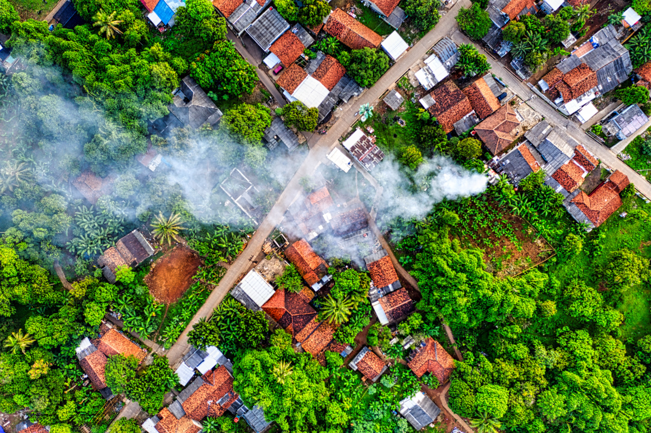 Who is Most Affected by Smoke Pollution from Wildfires?