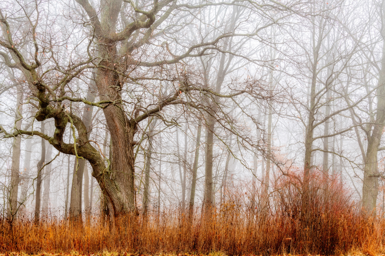 What Mysteries Await Us in the Land of Dreams?