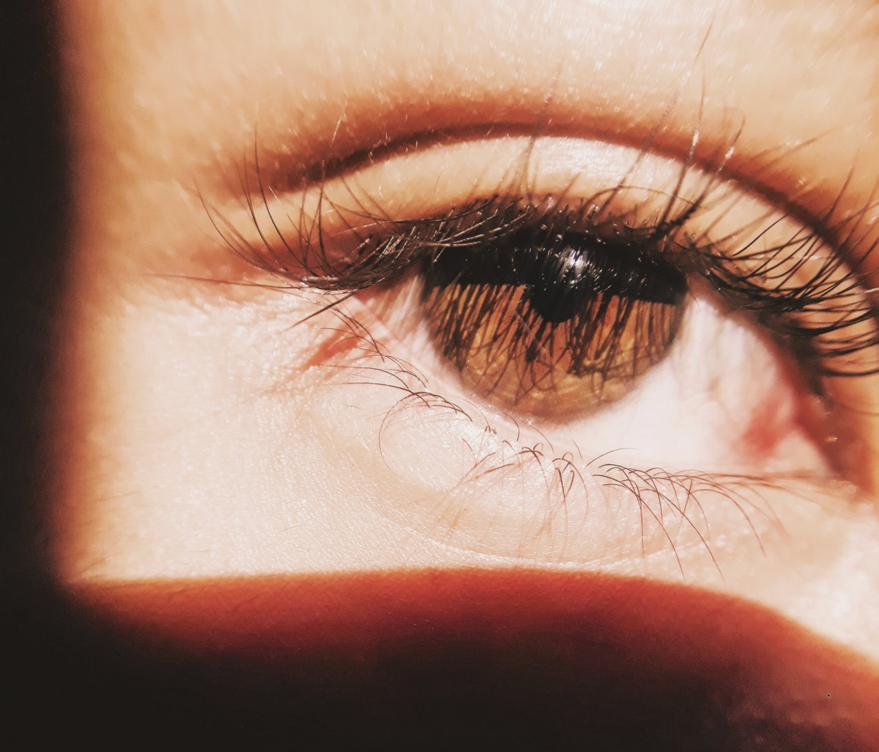 Pioneering approach displays whole eye structure without need for pupil dilation in youth