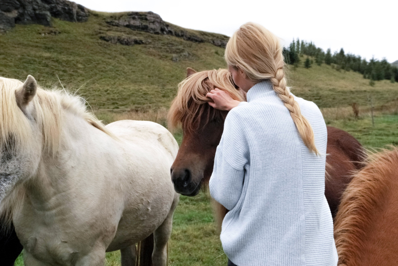 What Makes Us Love Animals More Than People?