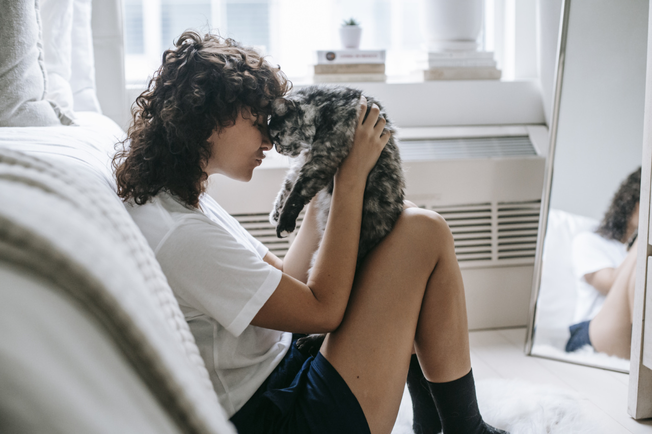 Happy cats: Tips for socializing your feline friend