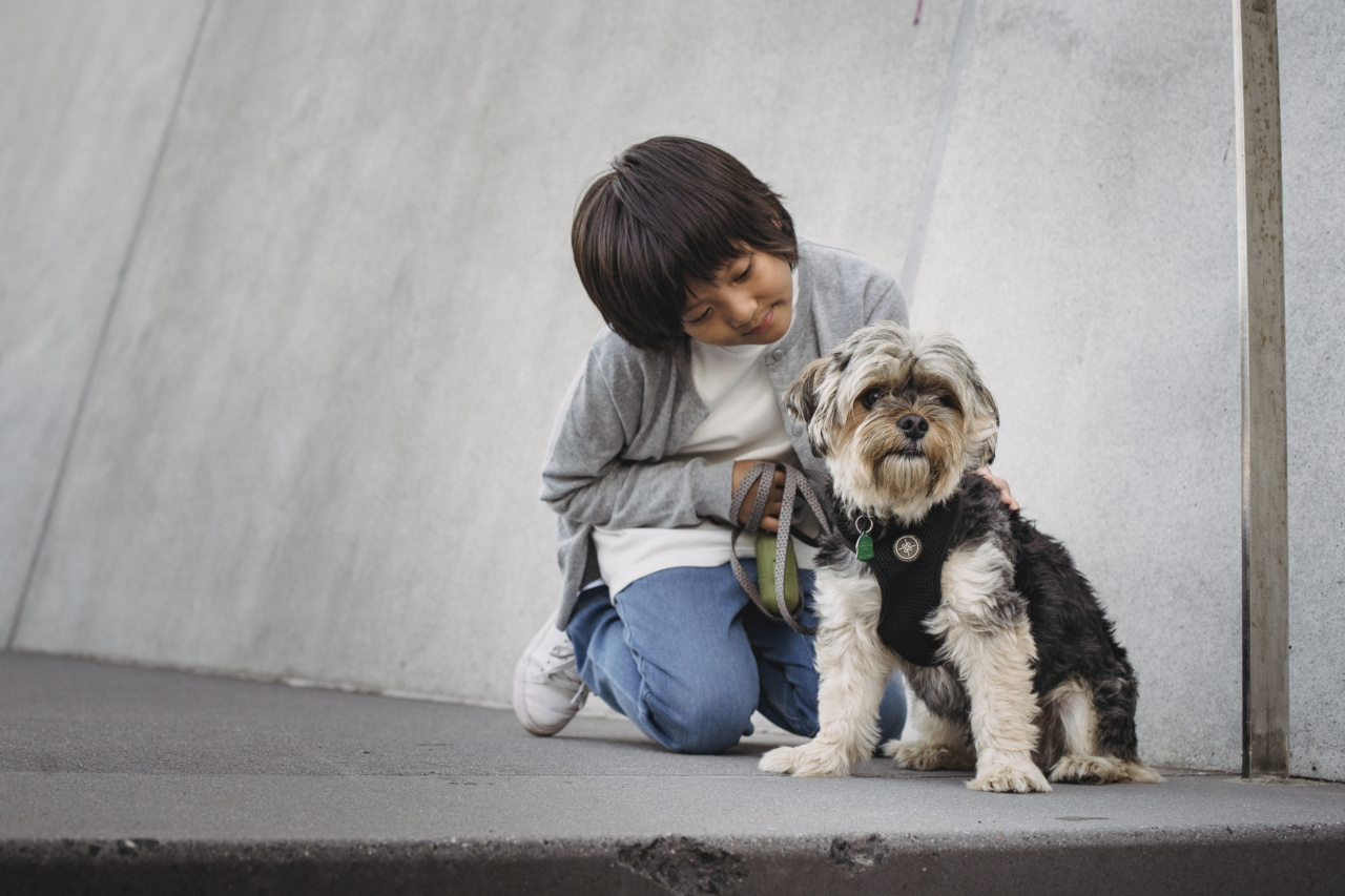 Caring Canine: Guardian, Companion, and Great with Kids