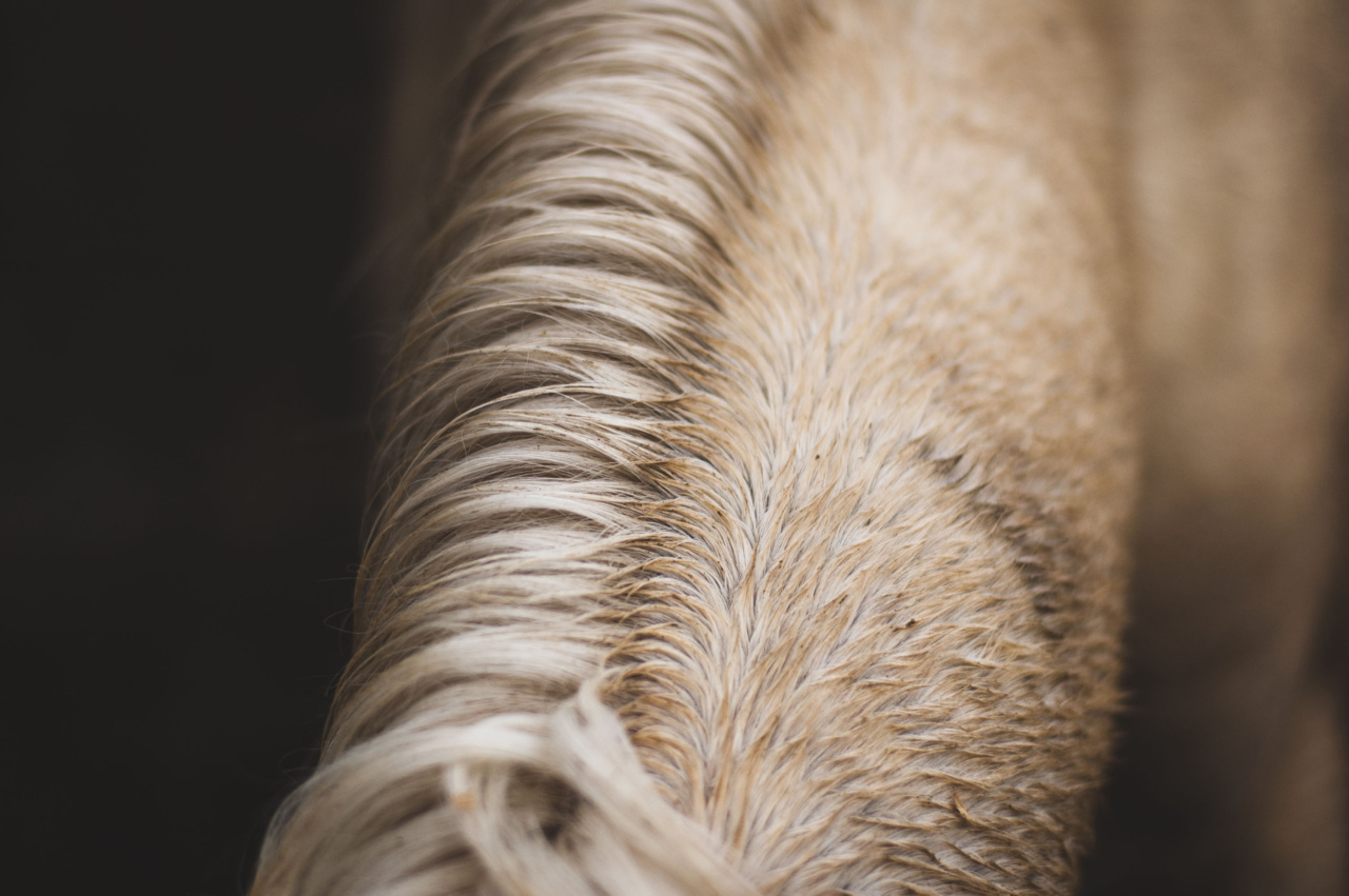 Understanding Hair Strands: Causes and Solutions