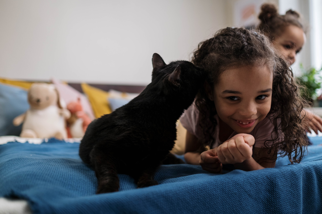 How Your Cat Says “I Love You”: The Different Expressions of Affection
